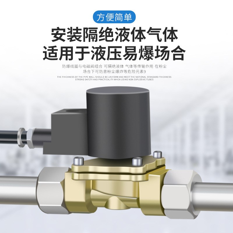 隔爆电磁阀脉冲阀防爆线圈凯威纳EX0960/0920/0961/0921/1360/09