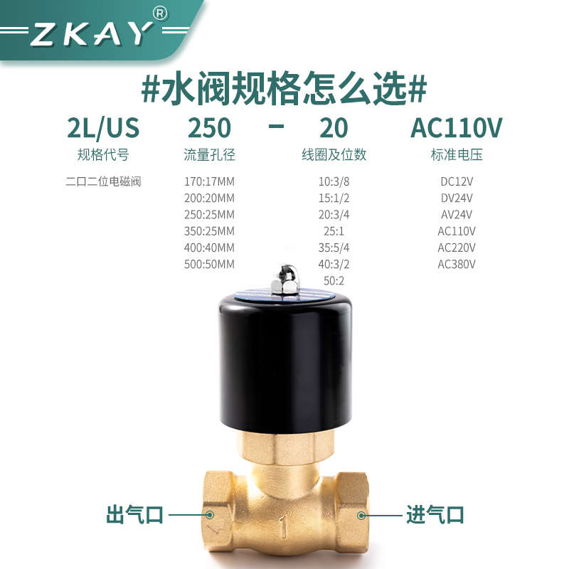 全铜耐高温蒸汽电磁水阀2L/USs-15/20/25/40/50蒸气控制阀24V 220