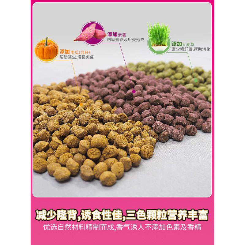 寸金三色蔬果陆龟粮通用饲料Q纤维粮红腿黄缘