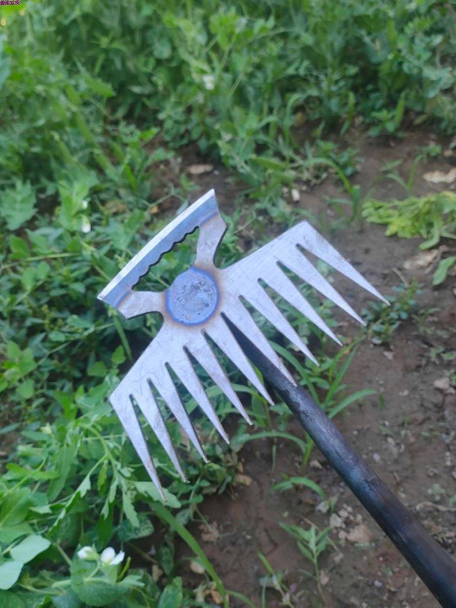 菜根草拔除草神器弯园松不长柄两用小腰多功能器新款草坪耙子土连