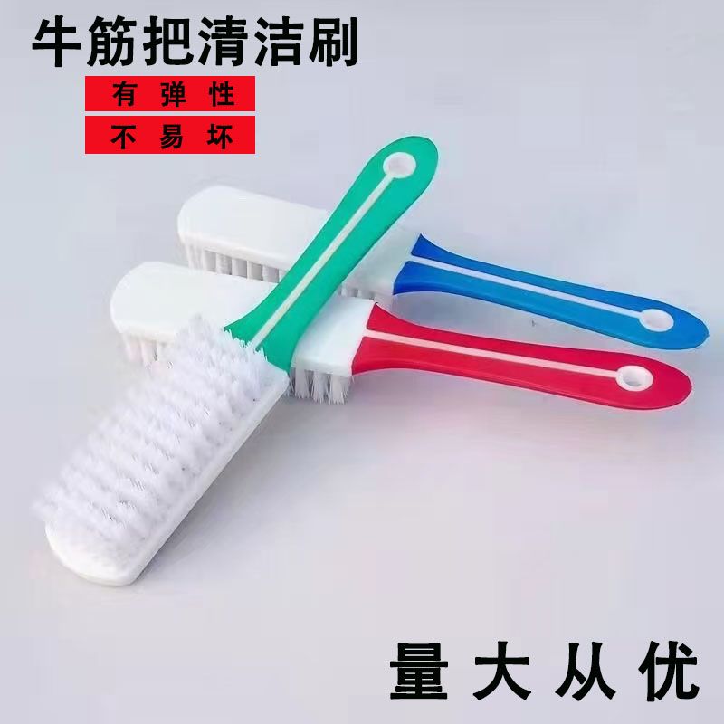 家用硬毛牛筋鞋刷耐用塑料洗鞋刷洗衣刷板刷皮鞋清洁擦刷