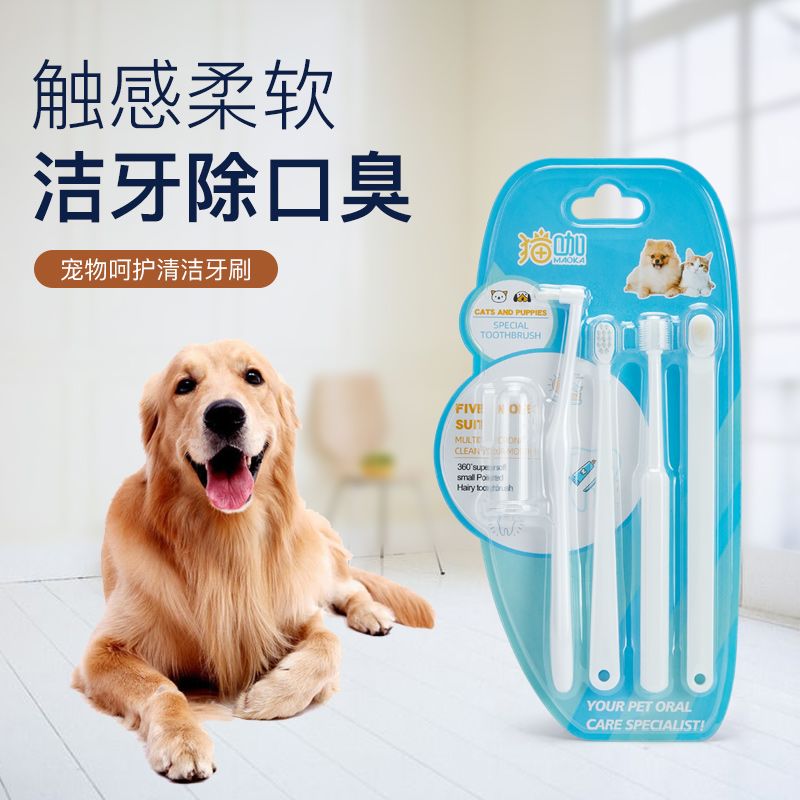 宠物专用猫咪牙刷狗狗牙膏套装小型犬牙齿清洁改善口臭刷牙用品
