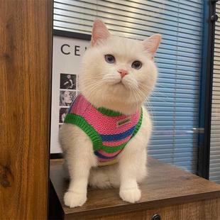 毛衣背心布偶猫小猫宠物服装 防掉毛冬季 无袖 猫咪衣服秋装 保暖可爱