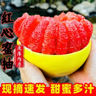 柚子红心柚子礼盒红肉蜜柚子官方旗舰店新鲜水果三红心蜜柚