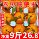 四川正宗春见耙耙柑粑粑柑大果5斤10斤丑桔橘水果新鲜橘子杷杷柑