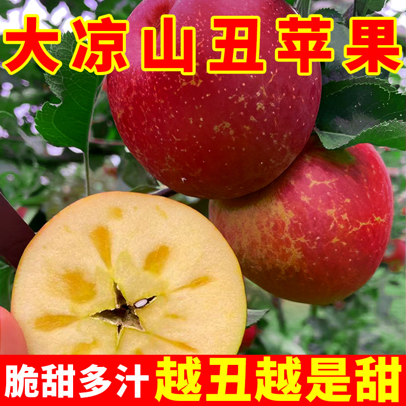 大凉山丑苹果5斤冰糖心苹果新鲜水果当季整箱盐源包邮四川红富士