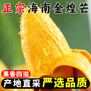 海南水仙芒果新鲜10斤金煌芒贵青小台芒妃甜心黄皮芒大果当季水果
