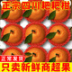 包邮 四川春见耙耙柑粑粑柑正宗水果新鲜整箱当季 丑桔橘新鲜10斤