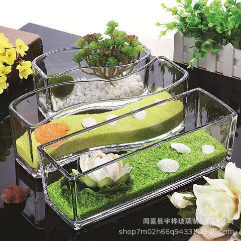 水培植物玻璃方缸简约花透明绿萝睡莲铜钱草水养花盆器皿摆件