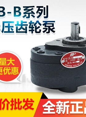 液压齿轮泵CB-B2.5 Bo4 B6 B10 B16 B20 B25 B32 B40高精度油泵