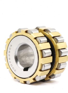 圆柱滚子减速机整体偏心轴承 200752904 25075N2904 130752904