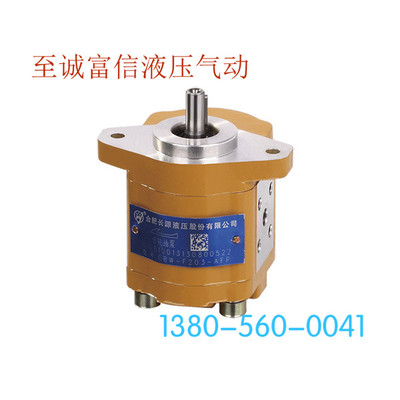 合肥长源齿轮油泵CBW-F202.5-AFP液压帮浦G盾构机顶管CBW-F202.5-