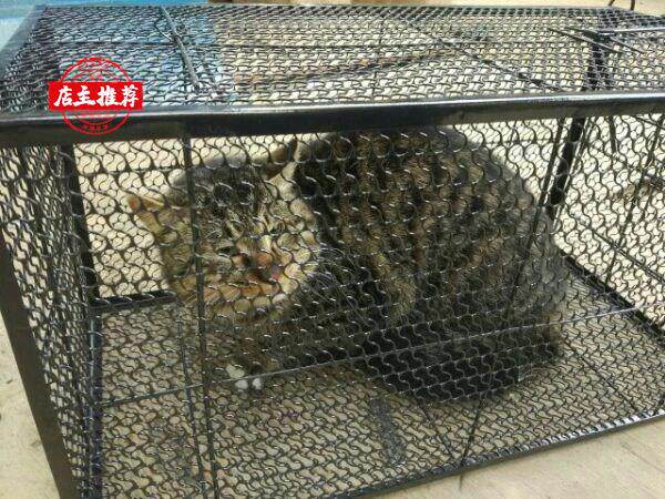 1 고양이 잡기 유물 마우스 클램프 대형 철 케이지 초대형 고양이 잡기 도구 완전 자동 마우스 케이지 대형 마우스