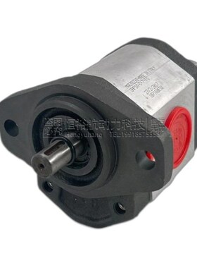 马祖奇高压油泵MARZOCCoHI齿轮泵GHP1A-D-7-FG泵GHP2A GHP3A液压