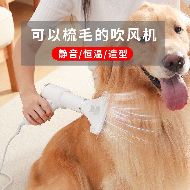梳子吹风梳吹水机吹风机狗狗猫咪电吹风电动清洁W美容宠物热风