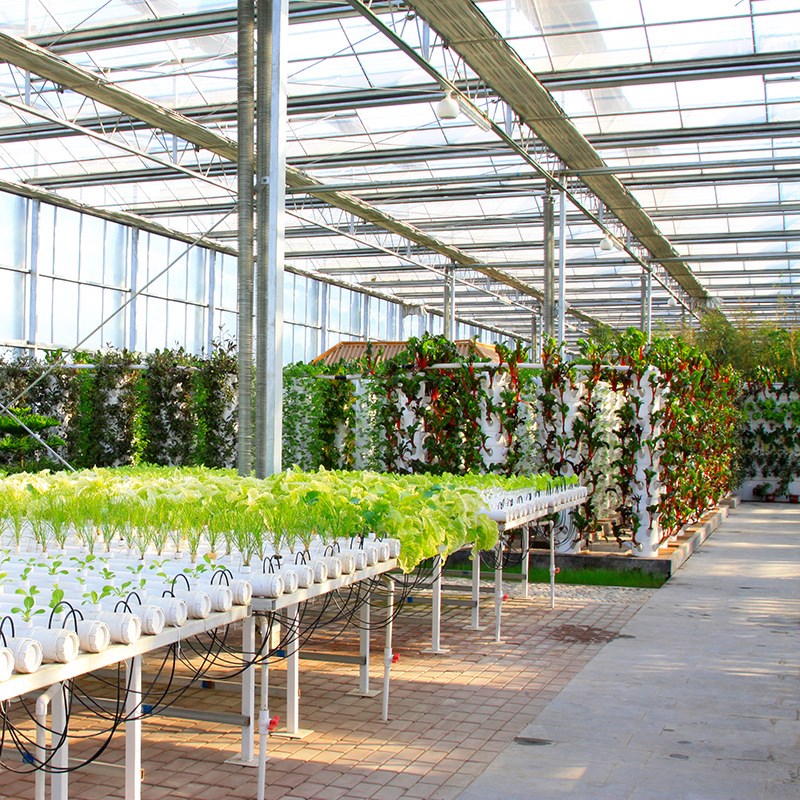 植物工厂无土栽培蔬o菜设备技术水培温室种植架室内外种菜机