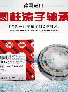 德国FAG轴承NJ220 NJ221 NJ222 NJ224 NJ226 NJ228 TE.M1 E.TVP2