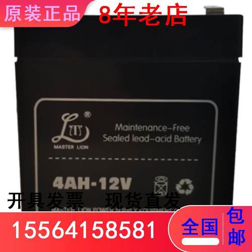 雄狮蓄电池 65AH-12 200AH-12V4A65AH-H7AH9AH12A17AH24WA38AH100