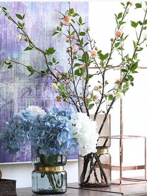 折射波纹彩色花瓶玻璃富贵竹广口干花花器摆件