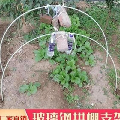 育苗拱棚竿实心i大棚o种菜支架棚架纤维管玻璃Q钢棒菜W棚架子家用