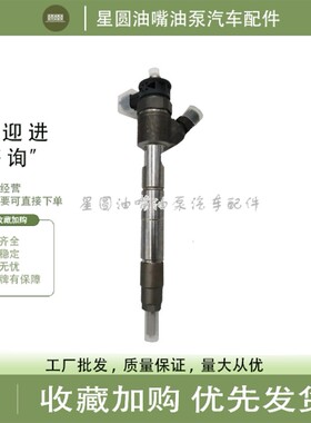 喷油器0445110351 ​55219886 ​1723813配菲亚特 福特 雪佛兰