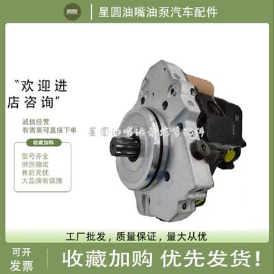 原装喷油泵42011282燃油泵总成1111100XED61 28557521配长城