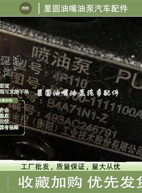 南岳衡阳电控油泵 B4A71N1-Z / 4P110/ B9V00-493 适用于玉柴4108