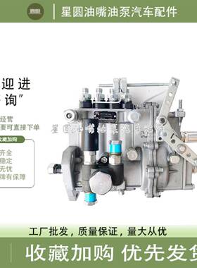 山东康达喷油泵总成BH4Q80R8 BH4Q85R8发电机柴油泵4QD418/4QD457