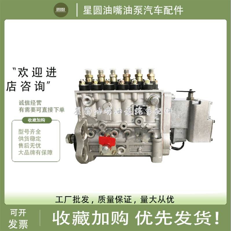 北京亚新科天纬康明斯6CTA8.3发动机高压油泵10404566071/5270403