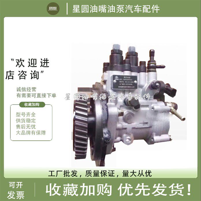 成都威特WCP-1电喷油泵总成XNZ1123110000 红塔凯马WCP060090N4E1