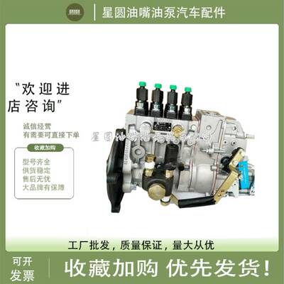 北京亚新科天纬喷油泵总成10403574075潍坊华丰柴油机CPES4PB120R