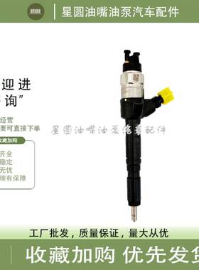 原装喷油器 P091-000K 喷油器总成 油嘴总成 216010