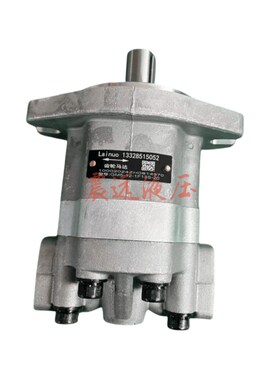 GM5-12-1F13S-20 齿轮油泵5 6 8 10  16 20 25-1F13FY-20 液压泵