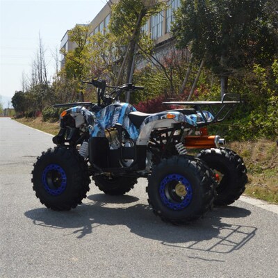 110CCe沙滩车 atv 四轮越野车 全地形车 雪地摩托车 ATV