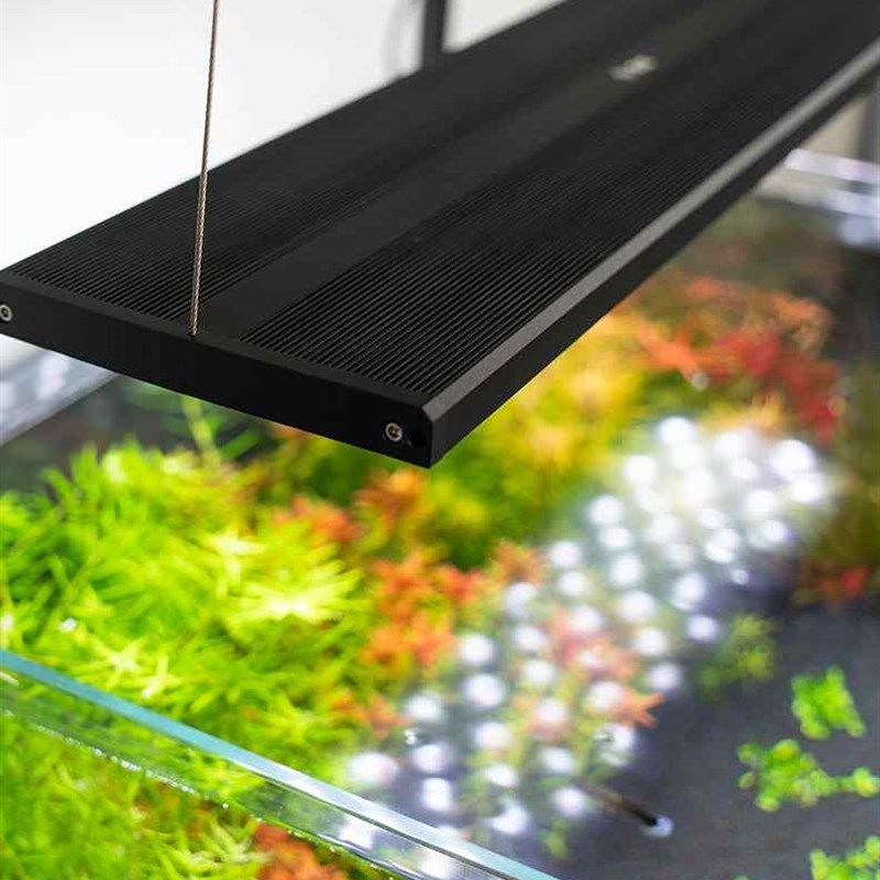 【白兰水族】白g兰N5伸缩灯全光谱LED水草灯 AT5灯珠 尼特利出品,宠物/宠物食品及用品,照明器材,淘宝优惠券,粉丝福利购,淘宝优惠卷