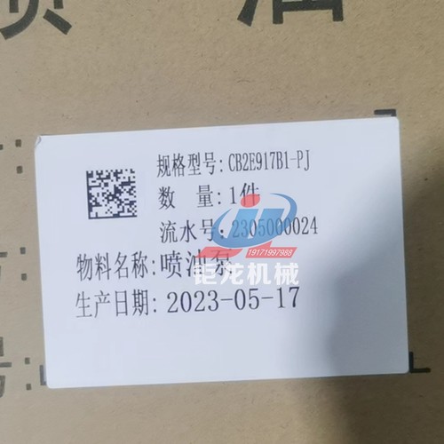 玉柴引擎高压电喷燃油泵1D1G00-11111C00-538柴油泵CB2E917B1-PJ