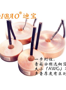 专业演出分频器10rAWG 6.9mH铜箔电感订造