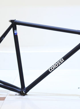 @BIKE FIjXED GEAR COLOSSI LUG 手工复古车架组
