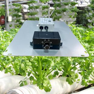 量子板植物补光灯60W100W200W400W全光谱LED植物生长灯植物