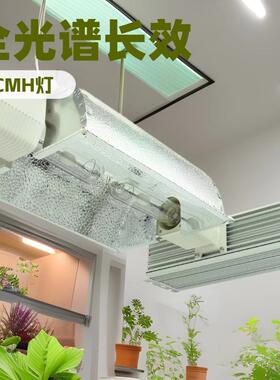 630W2x315WCMH生长灯高频240V增强红色3000K4200K有利于植物