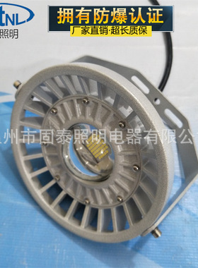 ST8010-40WLED防爆平台灯 20W30W 吊杆装 壁装