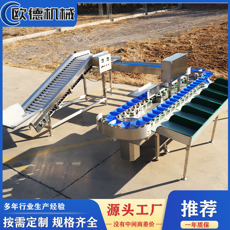 实用性全自动料盒牡蛎加工分级机猪蹄分选机鸡爪分拣机高速分选