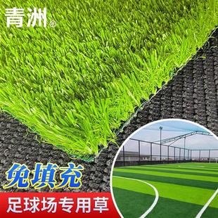 grass足球场人造草坪草皮免填充专业足球草人工假草室内球场