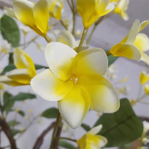仿真鸡蛋花树人造室内仿生植物软装景观装饰绿植假树仿真鸡蛋花树