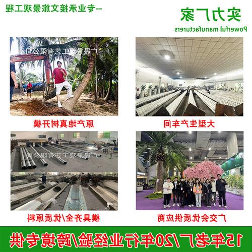 仿真椰子树工厂户外景区景观装饰玻璃钢人造大王椰子大树高仿真图片