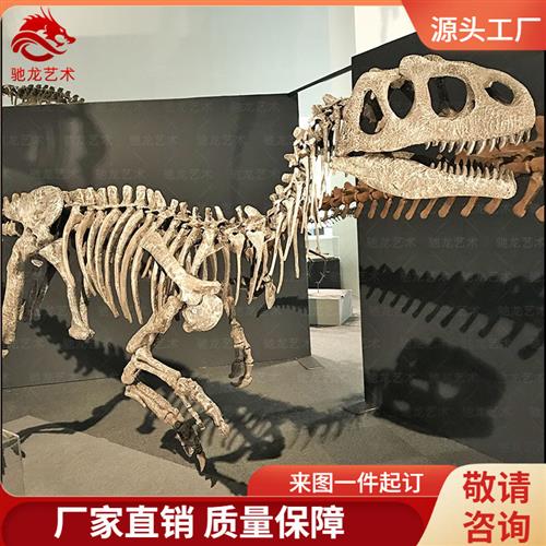 仿真恐龙骨架化石单脊龙化石玻璃钢动物骨头标本定制博物馆道具