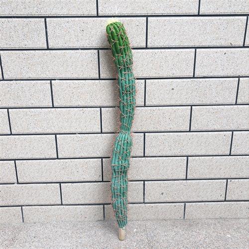 北欧墨西哥仙人掌球仿真仙人柱盆栽人造塑料大型摆件落地绿植假树