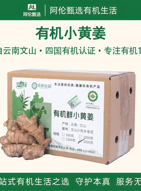 采山农佰家珍品【有机小黄姜】云南文山生姜带泥水洗老姜鲜辣多汁