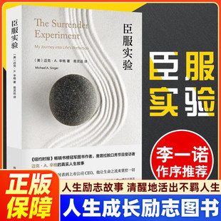 臣服实验 活出不羁人生正版原版迈克A辛格 著 不羁的灵魂作者真实人生故事 从隐居者到上市公司CEO的人生智慧与修养解答人生困惑