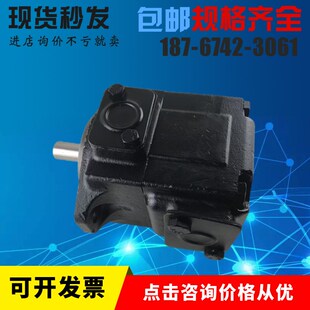 B10 B12 高压油泵 B06 液压 Br08 1R03 丹尼逊叶片泵T7BS B15